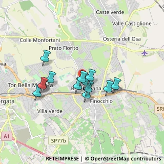 Mappa Via Mesoraca, 00132 Roma RM, Italia (1.47846)