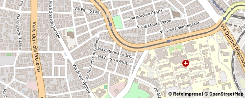 Mappa Rom