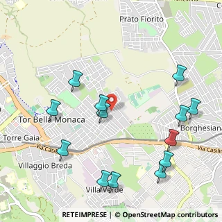 Mappa Via Terrasini, 00133 Roma RM, Italia (1.30692)