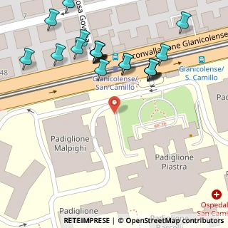 Mappa Via Circonvallazione Gianicolense, 00149 Roma RM, Italia (0.08636)