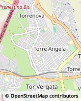 Viale Galvano della Volpe, 65,00133Roma