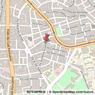 Mappa Via Duchessa di Galliera, 13, 00151 Roma, Roma (Lazio)