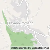 Kort Olevano Romano