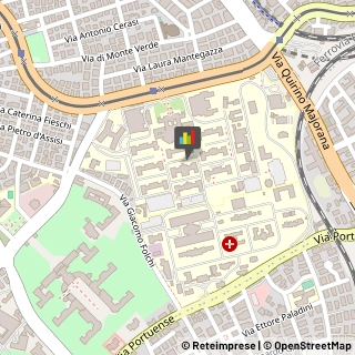 Ematologia - Medici Specialisti Roma,00152Roma