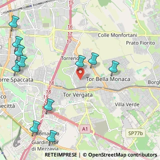 Mappa Via Luigi Manfredini, 00133 Roma RM, Italia (3.10091)