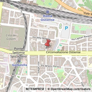 Mappa Via Prospero Alpino,  76, 00154 Roma, Roma (Lazio)