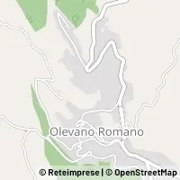 Kort Olevano Romano