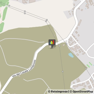 Pianoforti Roma,00166Roma