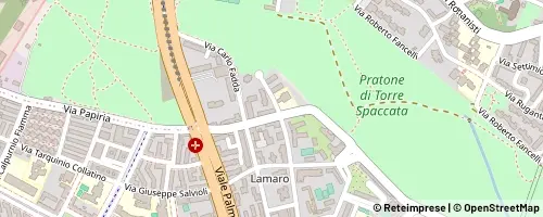 Mappa Roma