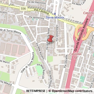 Mappa Via dell'Aquila Reale, 49, 00169 Roma, Roma (Lazio)