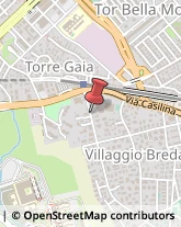 Via di Torre Gaia, 10/A,00133Roma