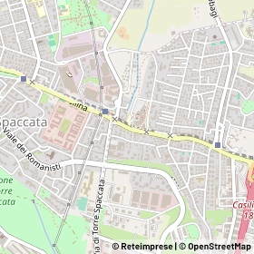Mappa 00169