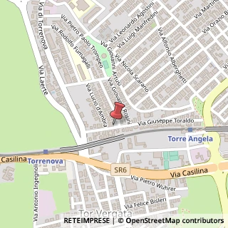 Mappa Via Giuseppe Toraldo, 49, 00133 Roma, Roma (Lazio)