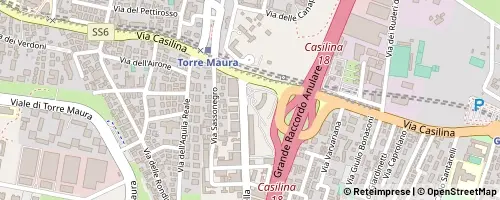 Mappa Rome