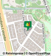 Via Carlo Conti Rossini, 26/A,00156Roma