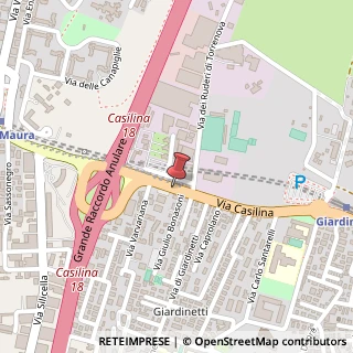 Mappa Via Casilina, 1204, 00133 Roma, Roma (Lazio)