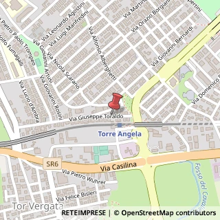 Mappa Via Giuseppe Toraldo,  151, 00133 Roma, Roma (Lazio)