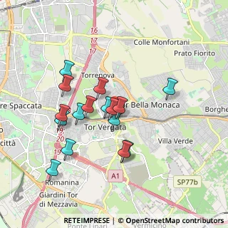 Mappa Via Pietro Pancrazi, 00133 Roma RM, Italia (1.69063)