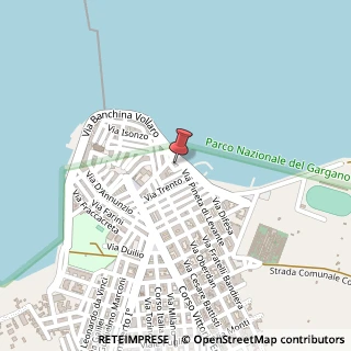 Mappa Via Banchina Vollaro, 31, 71010 Lesina, Foggia (Puglia)