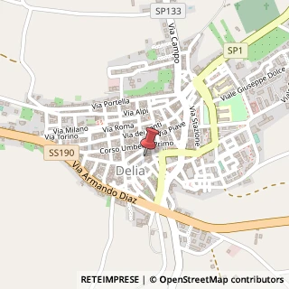 Mappa Via Petilia, 9, 93010 Delia CL, Italia, 93010 Delia, Caltanissetta (Sicilia)