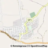 Hartă Delia