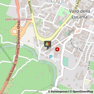 Commercialisti Vallo della Lucania,84078Salerno