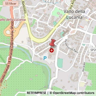 Mappa Via Francesco Cammarota, 2, 84078 Vallo della Lucania, Salerno (Campania)