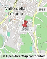 Via Nicola Valiante, 11,84078Vallo della Lucania