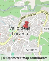 Piazza Vittorio Emanuele, 49,84078Vallo della Lucania