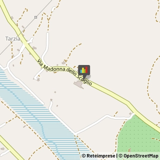Agrumi,89041Barletta-Andria-Trani
