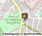 Pratiche Nautiche - Agenzie,40141Bologna