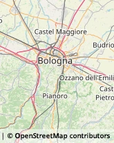 Ambulatori e Consultori Bologna,40125Bologna