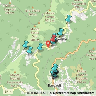 Mappa Via F. 2A Loc. Ciosa, 16021 Bargagli GE, Italia (0.90909)