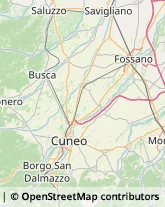 Imprese di Pulizia Fossano,12045Cuneo