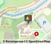 Psichiatria e Neurologia - Medici Specialisti,40139Bologna
