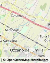 Aziende Agricole Ozzano dell'Emilia,40064Bologna