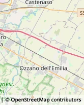 Aziende Agricole San Lazzaro di Savena,40068Bologna