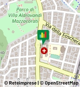 Via Toscana, 34,40141Bologna