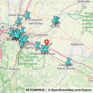 Mappa Via dell' Artigianato, 40064 Ozzano dell'Emilia BO, Italia (10.068)