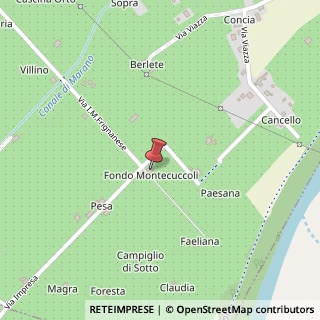 Mappa Via Frignanese Impresa Mancini, 12, 41058 Vignola, Modena (Emilia Romagna)