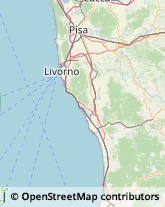 Fisiokinesiterapia - Medici Specialisti Castagneto Carducci,57022Livorno