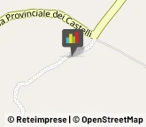 Cereali e Granaglie,60039Ancona