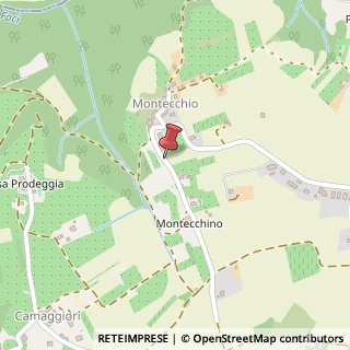 Mappa Localita' Montecchio, 136, 53034 Colle di Val d'Elsa, Siena (Toscana)