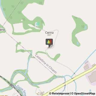 Aziende Agricole Castellina in Chianti,53011Siena