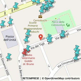 Mappa Via dei Tigli, 63076 Centobuchi AP, Italia (0.08846)