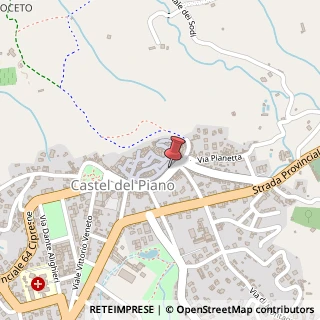 Mappa Corso Nasini, 36/A, 58033 Castel del Piano, Grosseto (Toscana)
