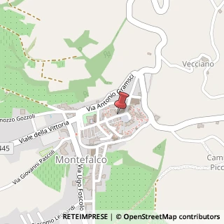 Mappa Piazza del Comune, 1, 06036 Montefalco, Perugia (Umbria)