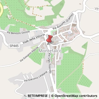 Mappa Via Campo Sportivo, 1, 06036 Montefalco, Perugia (Umbria)