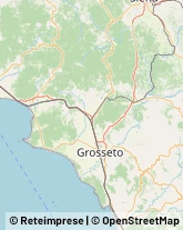 Autotrasporti Gavorrano,58023Grosseto