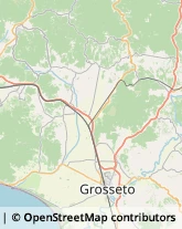 Autotrasporti Civitella Paganico,58045Grosseto